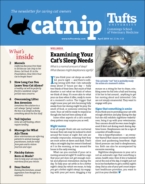 Catnip April 01, 2019 Issue Cover