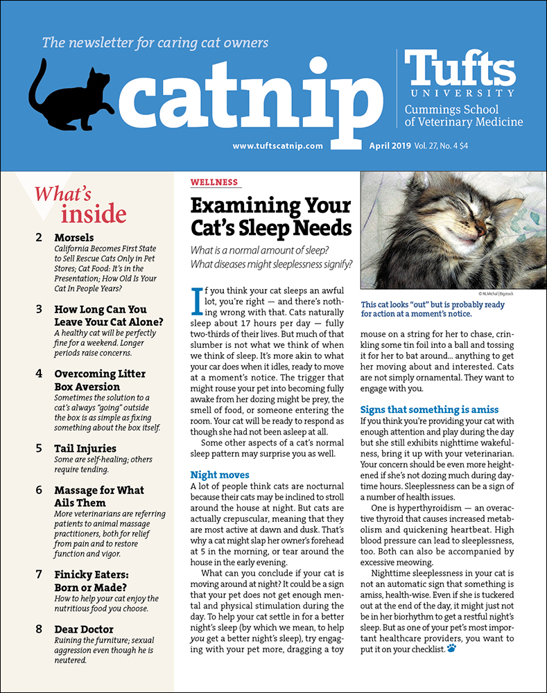 Catnip April 01, 2019 Issue Cover