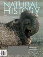Natural-History February 01, 2016 Issue Cover