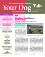 Your-Dog February 01, 2022 Issue Cover