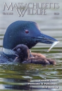 Massachusetts-Wildlife June 01, 2018 Issue Cover