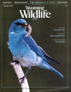 Wyoming-Wildlife September 01, 2015 Issue Cover