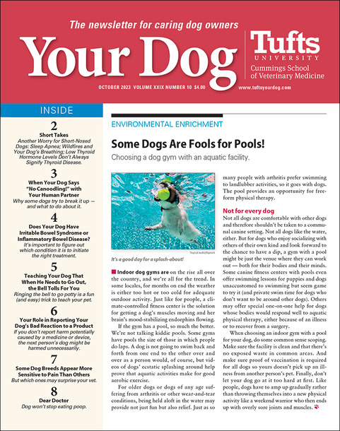 Your-Dog October 01, 2023 Issue Cover