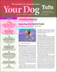 Your-Dog October 01, 2023 Issue Cover