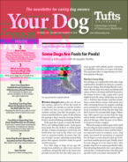Your-Dog October 01, 2023 Issue Cover
