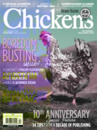 Chickens November 01, 2019 Issue Cover