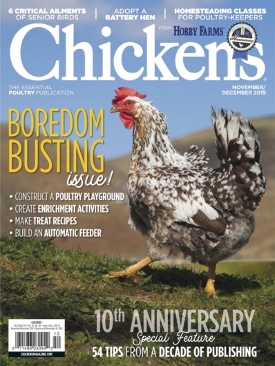 Chickens November 01, 2019 Issue Cover