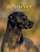 The Retriever Journal June 01, 2025 Issue Cover