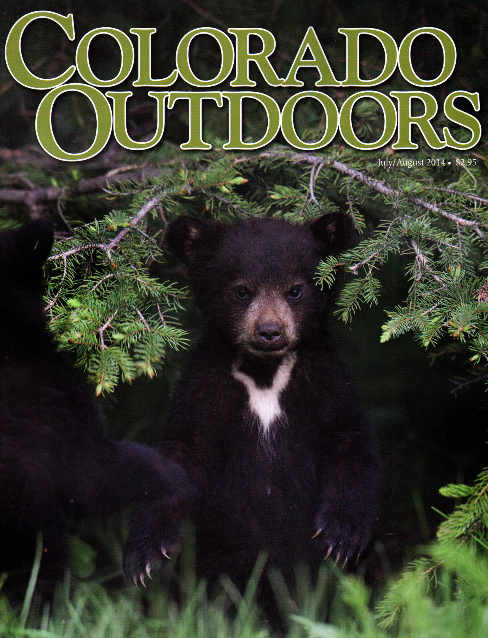 Colorado-Outdoors July 01, 2014 Issue Cover