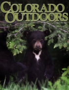 Colorado-Outdoors July 01, 2014 Issue Cover