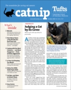 Catnip October 01, 2020 Issue Cover