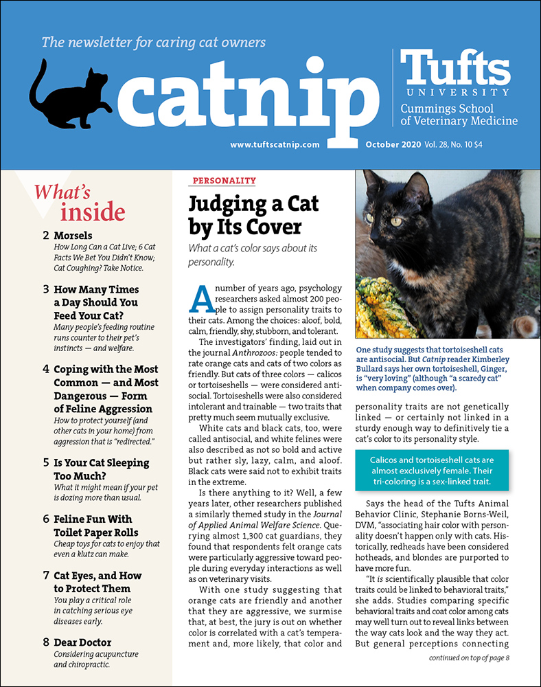 Catnip October 01, 2020 Issue Cover