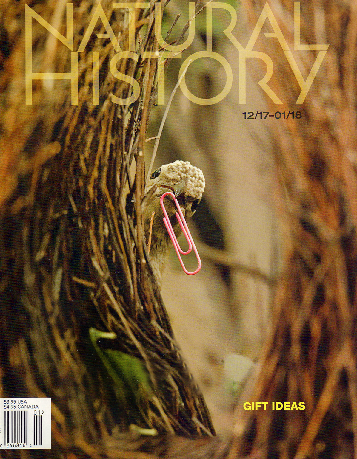 Natural-History December 01, 2017 Issue Cover