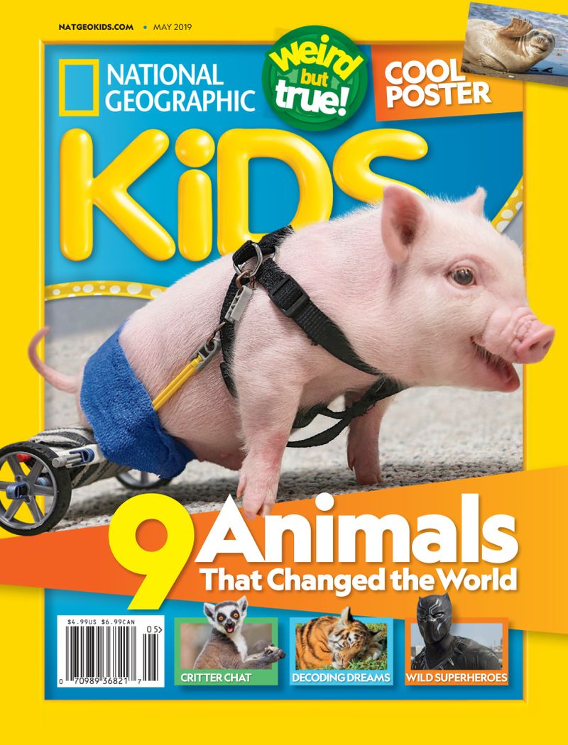 National-Geographic-Kids May 01, 2019 Issue Cover