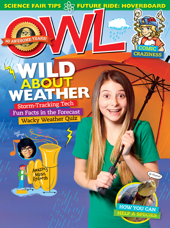 OWL May 01, 2016 Issue Cover