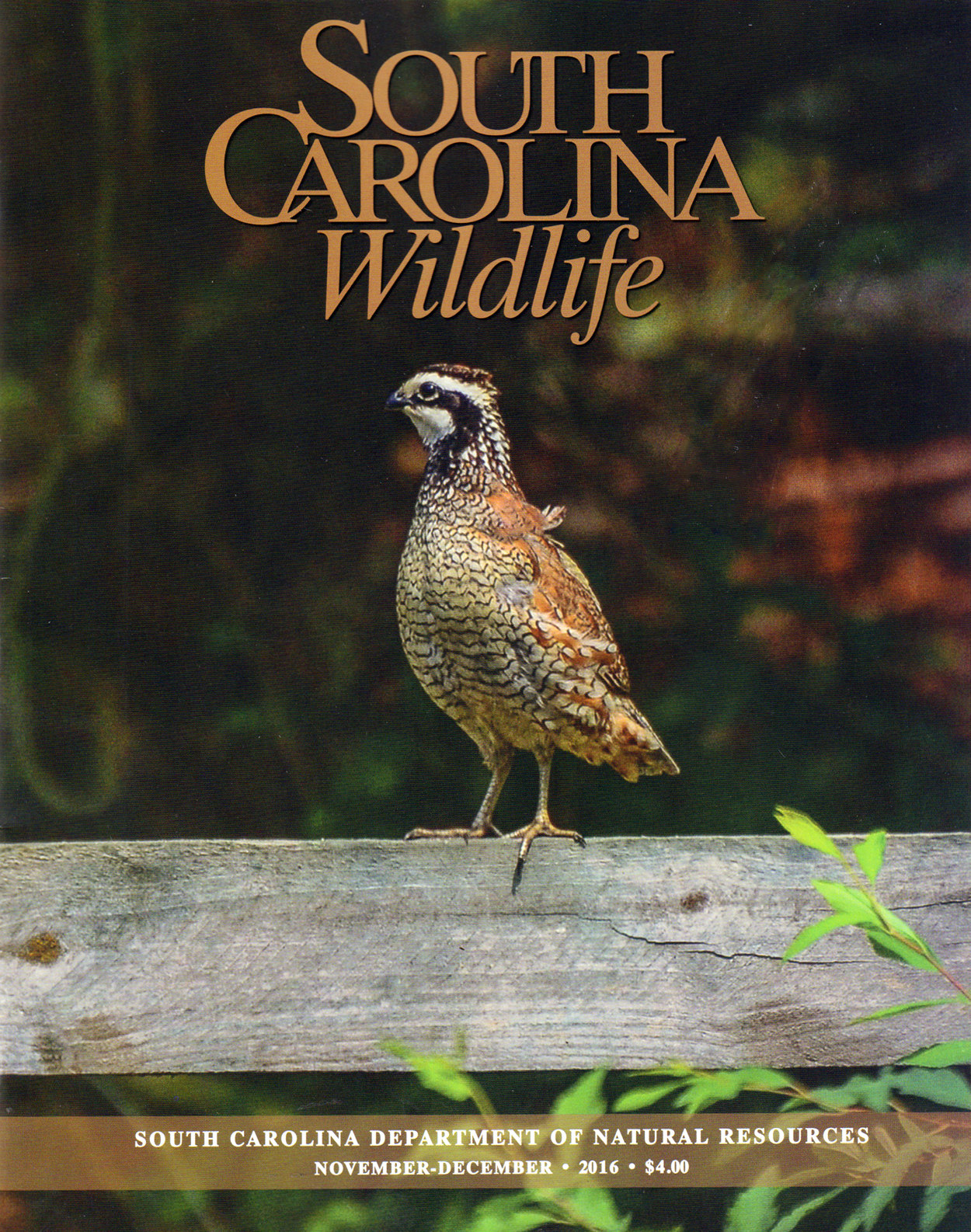 South-Carolina-Wildlife November 01, 2016 Issue Cover