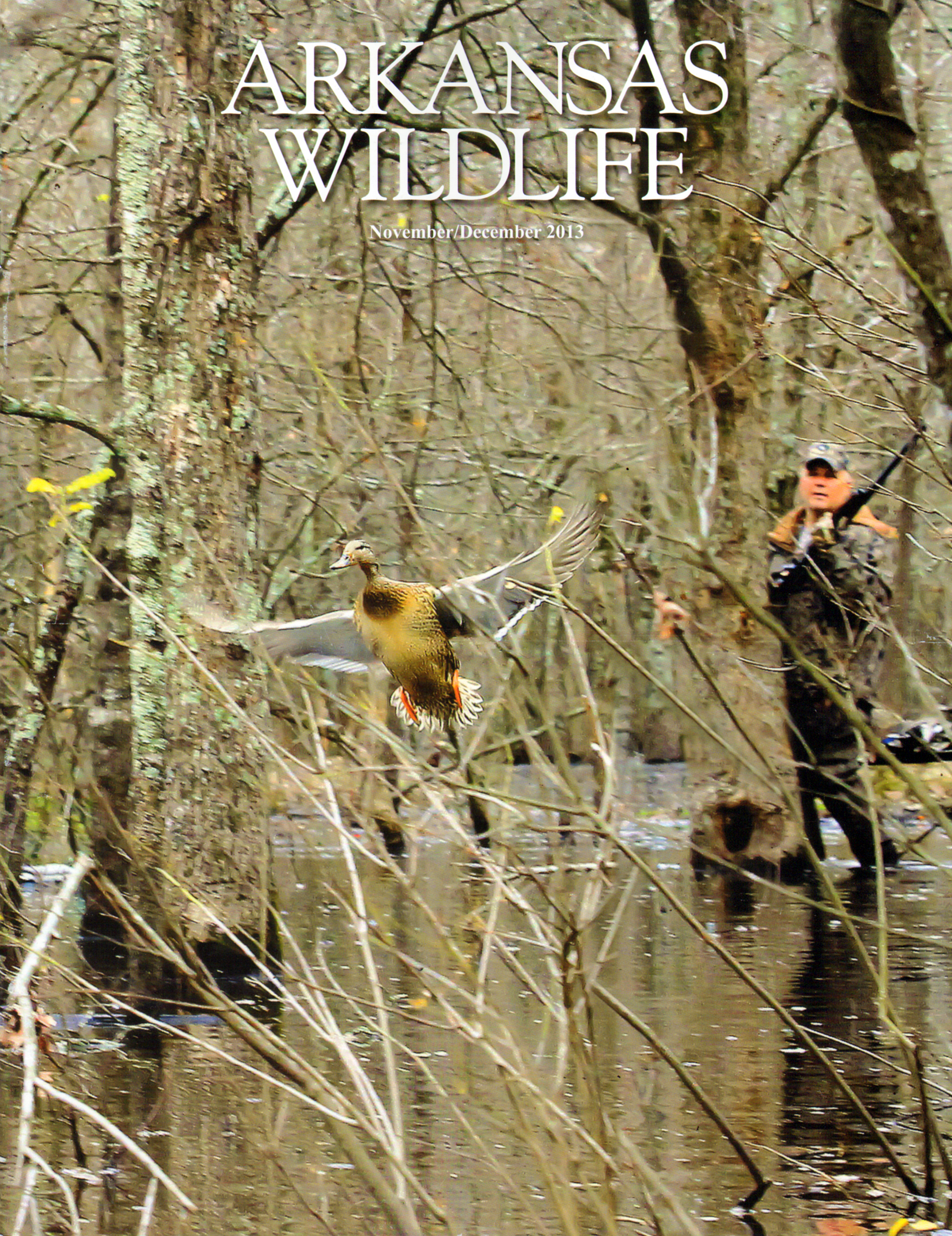 Arkansas-Wildlife December 01, 2013 Issue Cover