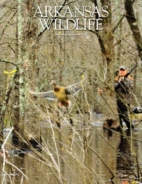 Arkansas-Wildlife December 01, 2013 Issue Cover