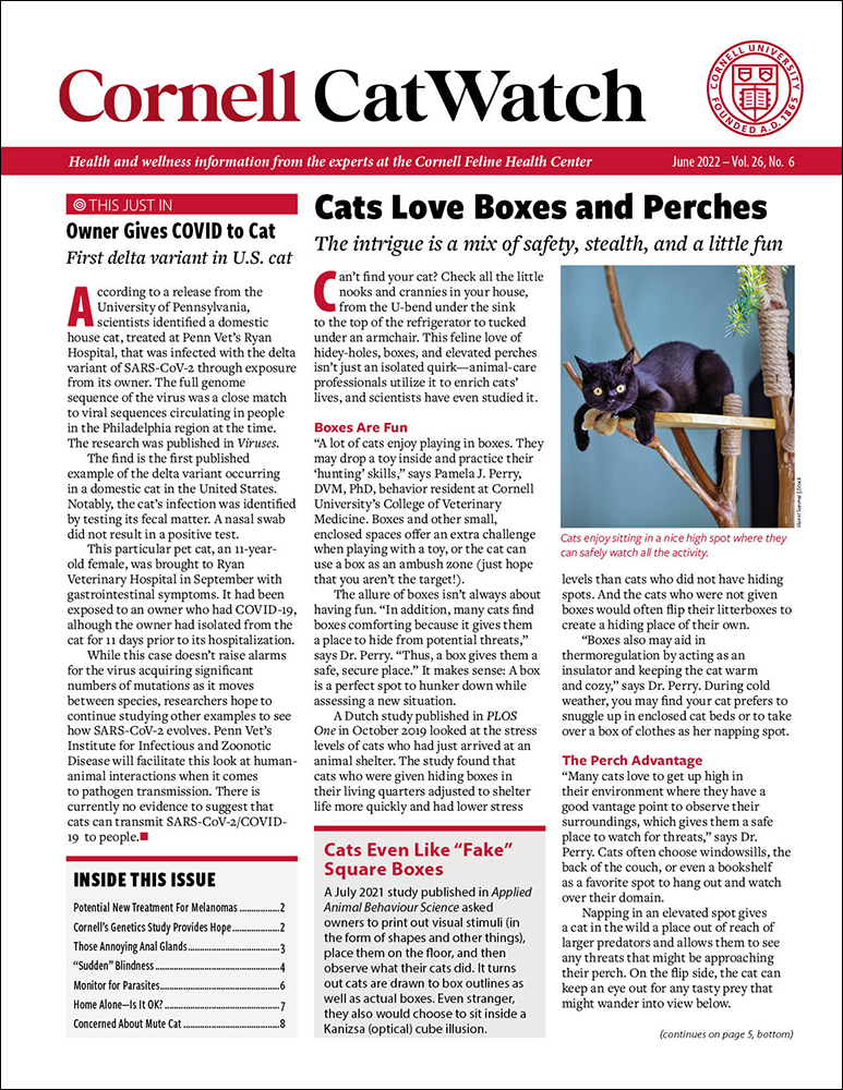 Catwatch June 01, 2022 Issue Cover