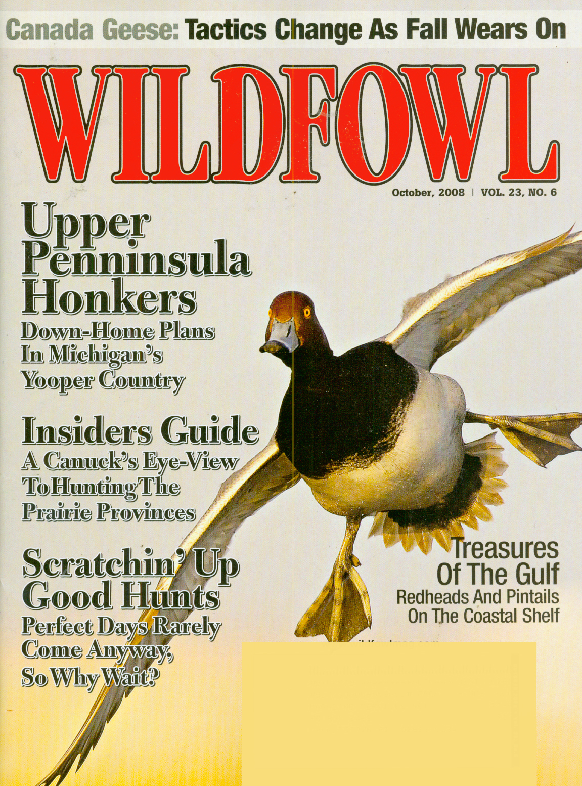 Wildfowl October 01, 2008 Issue Cover