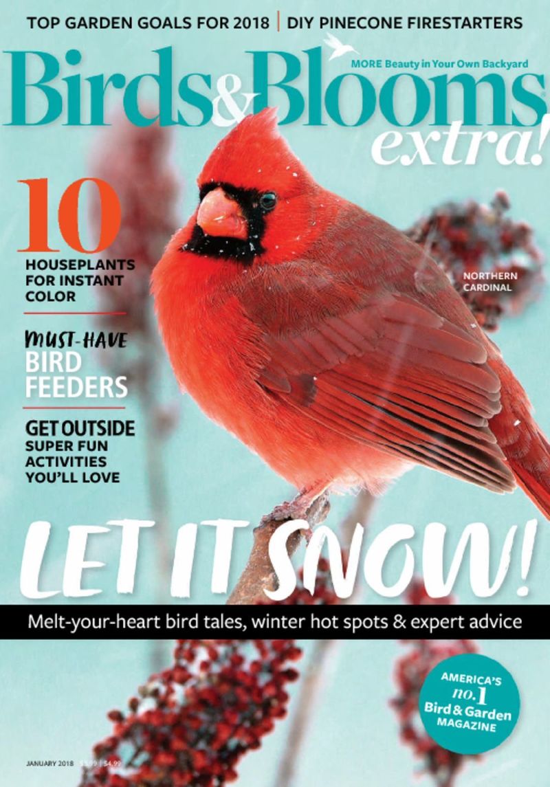 Birds-and-Blooms-Extra January 01, 2018 Issue Cover