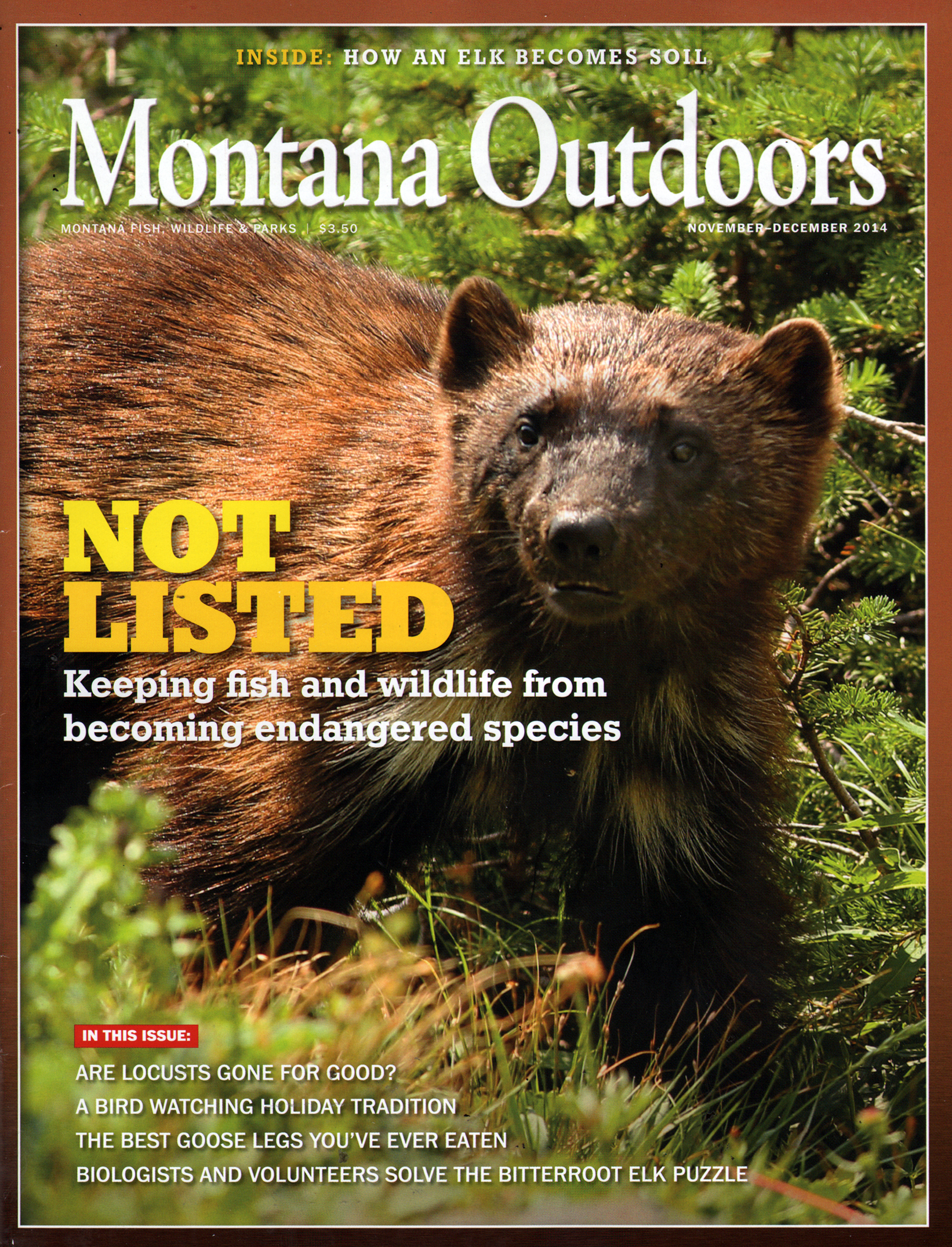 Montana-Outdoors November 01, 2014 Issue Cover