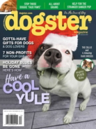 Dogster December 01, 2017 Issue Cover