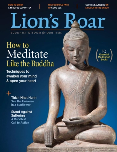 Lion's Roar May 01, 2017 Issue Cover