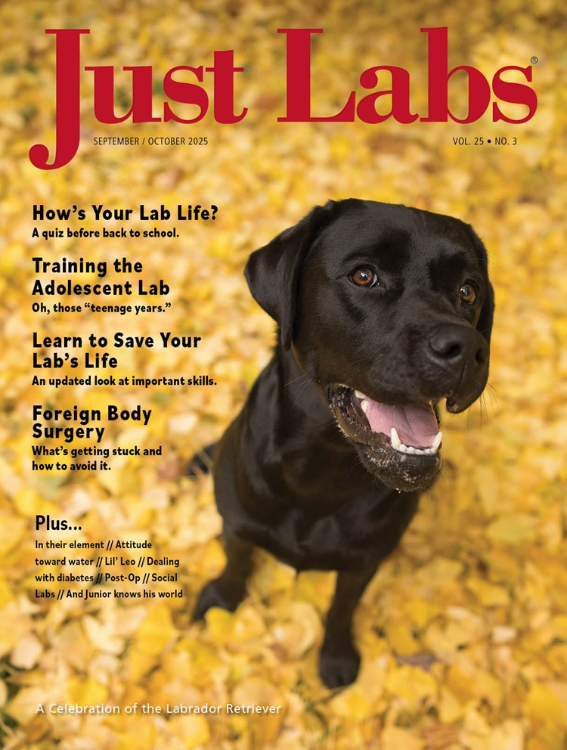Just Labs September 01, 2025 Issue Cover