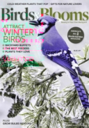 Birds-and-Blooms December 01, 2017 Issue Cover