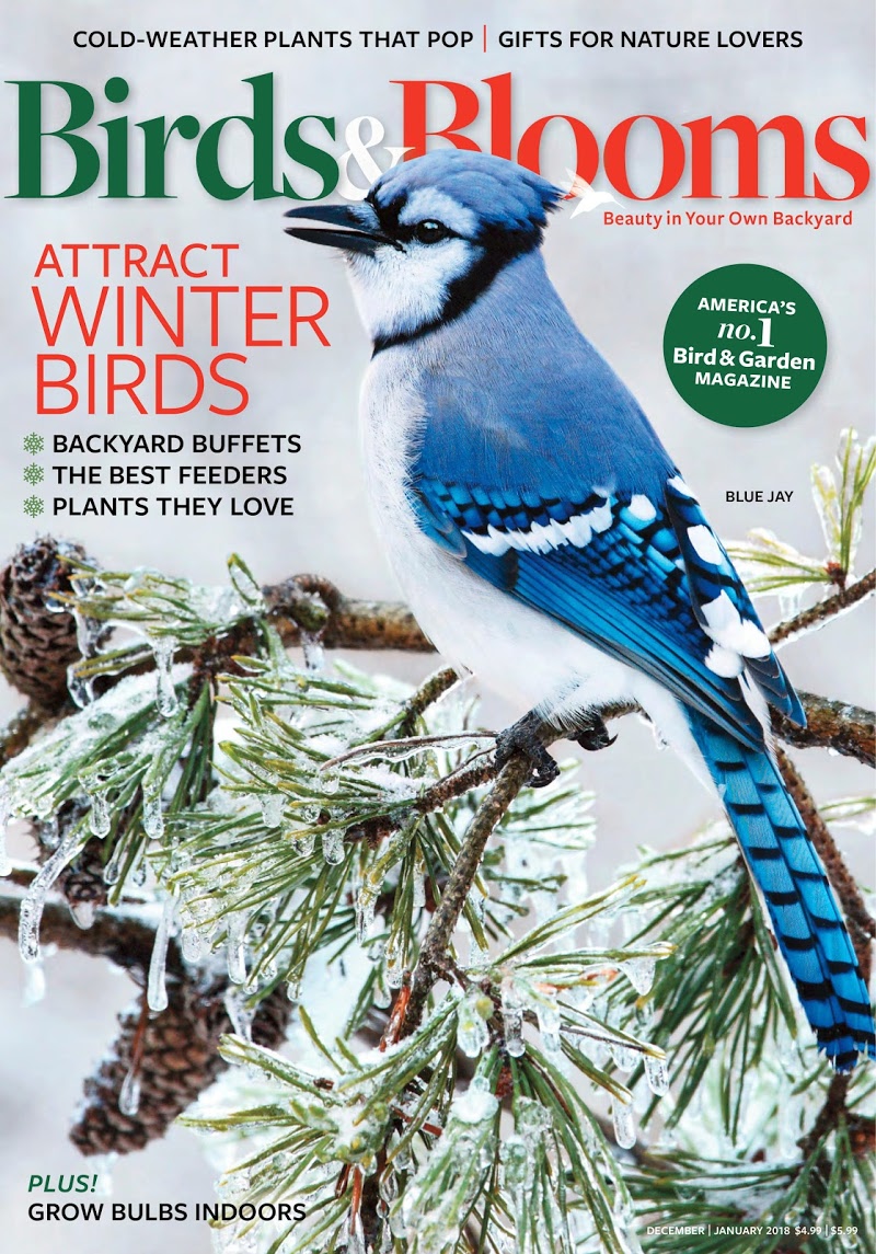 Birds-and-Blooms December 01, 2017 Issue Cover