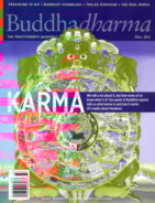BUDDHADHARMA-THE-PRACTIONERS-QUARTERLY September 01, 2013 Issue Cover