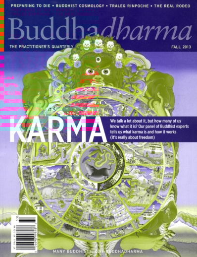 BUDDHADHARMA: THE PRACTIONER'S QUARTERLY September 01, 2013 Issue Cover