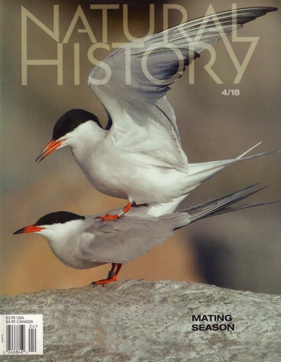 Natural History April 01, 2018 Issue Cover