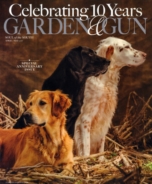 Garden-and-Gun April 01, 2017 Issue Cover