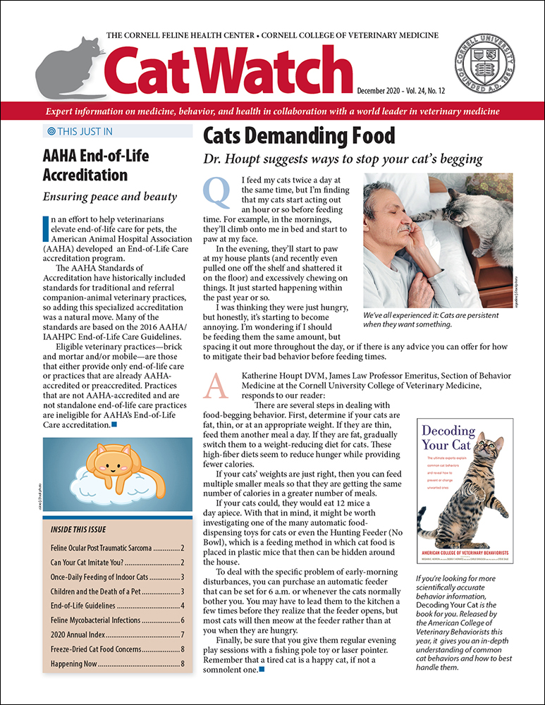 Catwatch December 01, 2020 Issue Cover