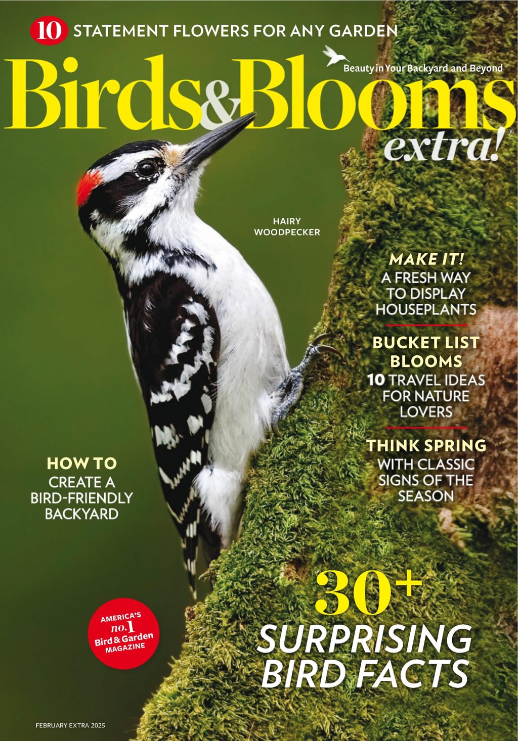 Birds-and-Blooms-Extra February 01, 2025 Issue Cover