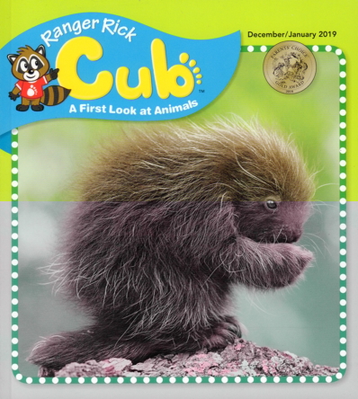 Ranger Rick Cub December 01, 2018 Issue Cover