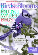 Birds-and-Blooms-Extra January 01, 2016 Issue Cover