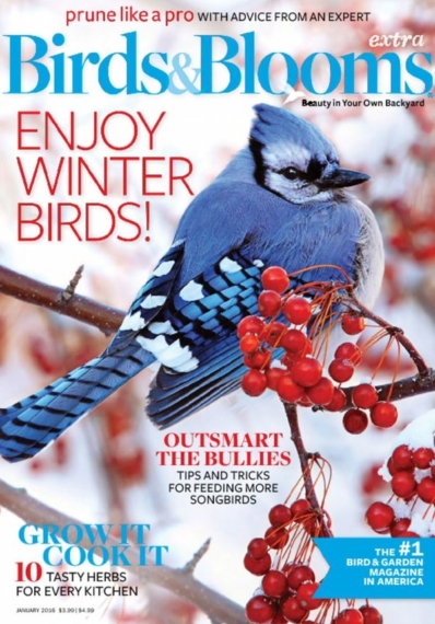 Birds & Blooms Extra January 01, 2016 Issue Cover