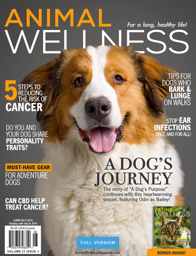 Animal-Wellness June 01, 2019 Issue Cover