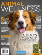 Animal-Wellness June 01, 2019 Issue Cover