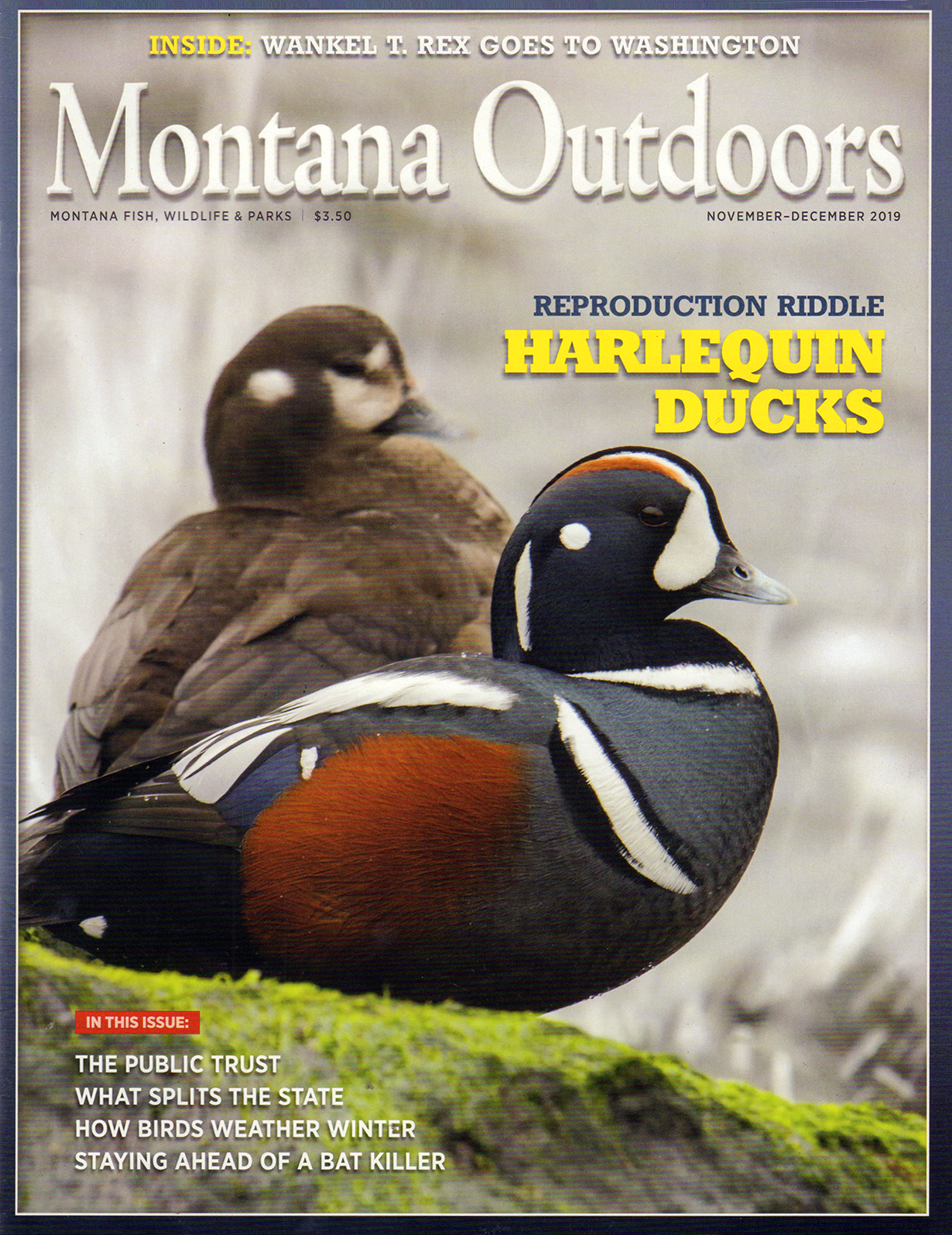 Montana-Outdoors November 01, 2019 Issue Cover