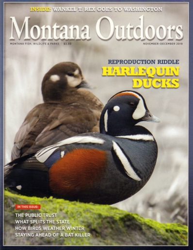 Montana Outdoors November 01, 2019 Issue Cover
