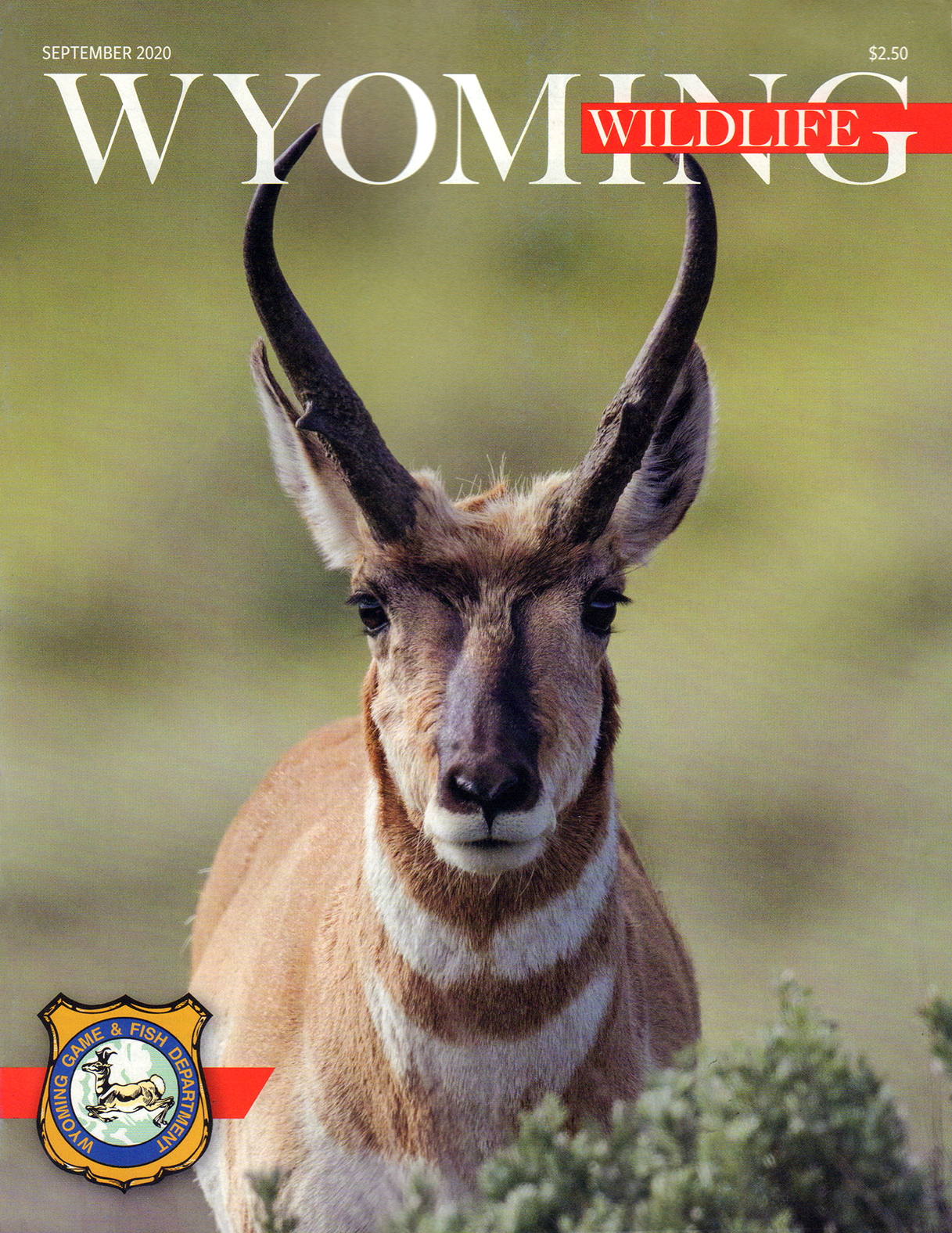 Wyoming-Wildlife September 01, 2020 Issue Cover