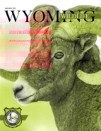 Wyoming-Wildlife January 01, 2021 Issue Cover