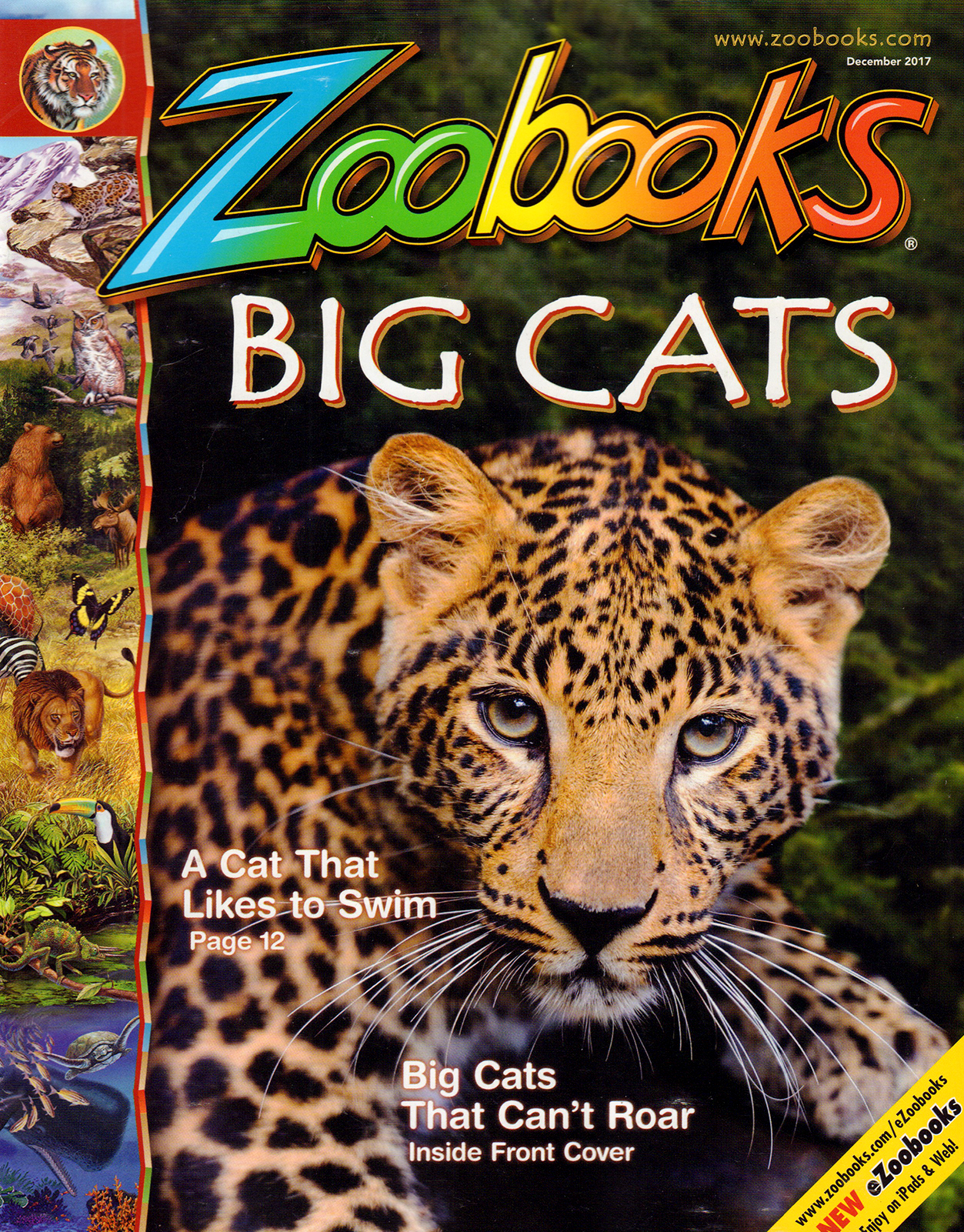 zoobooks December 01, 2017 Issue Cover