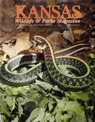 Kansas Wildlife & Parks July 01, 2019 Issue Cover