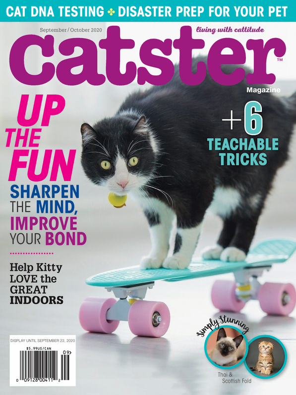 Catster September 01, 2020 Issue Cover