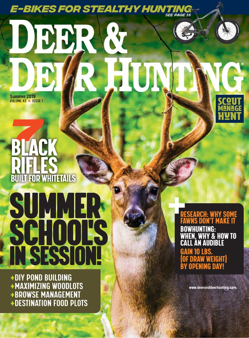 Deer-and-Deer-Hunting July 01, 2019 Issue Cover